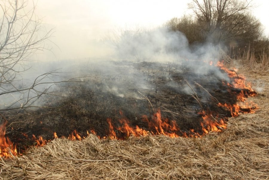 В Україні оголошено найвищий рівень пожежної небезпеки: рятувальники закликають громадян не провокувати пожежі