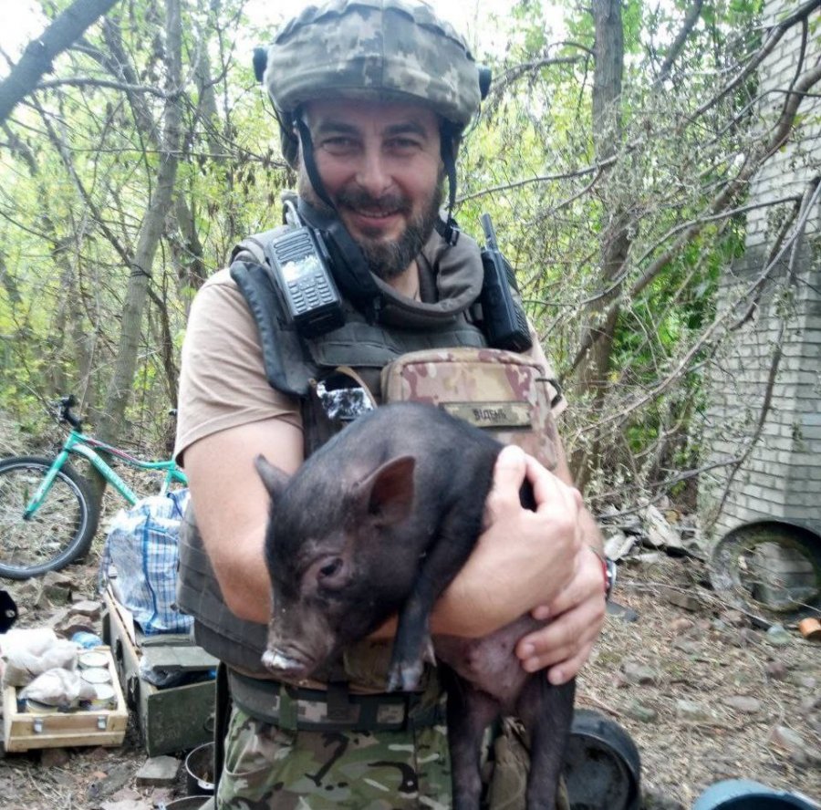 Прилаштували «побратима»: як українські військові та іноземні волонтери дбають про тварин під час війни