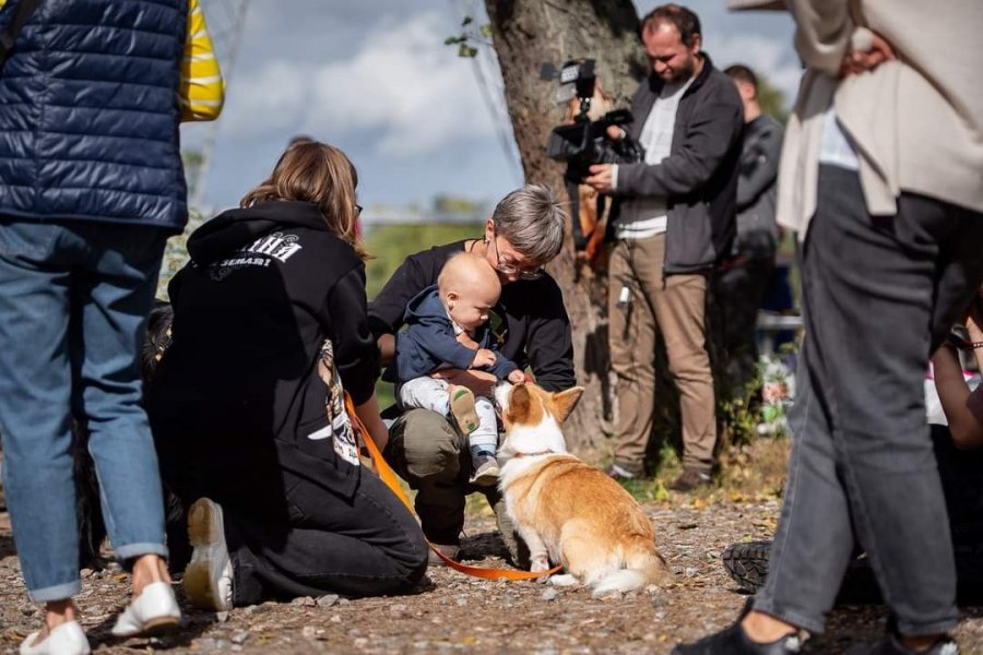Каністерапія в Україні під час війни: як це працює