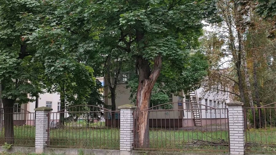 Бізнес-партнери міського голови Ігоря Сапожка викупили колишній дитячий садочок на Порошинці: про плани використання ділянки в центрі міста